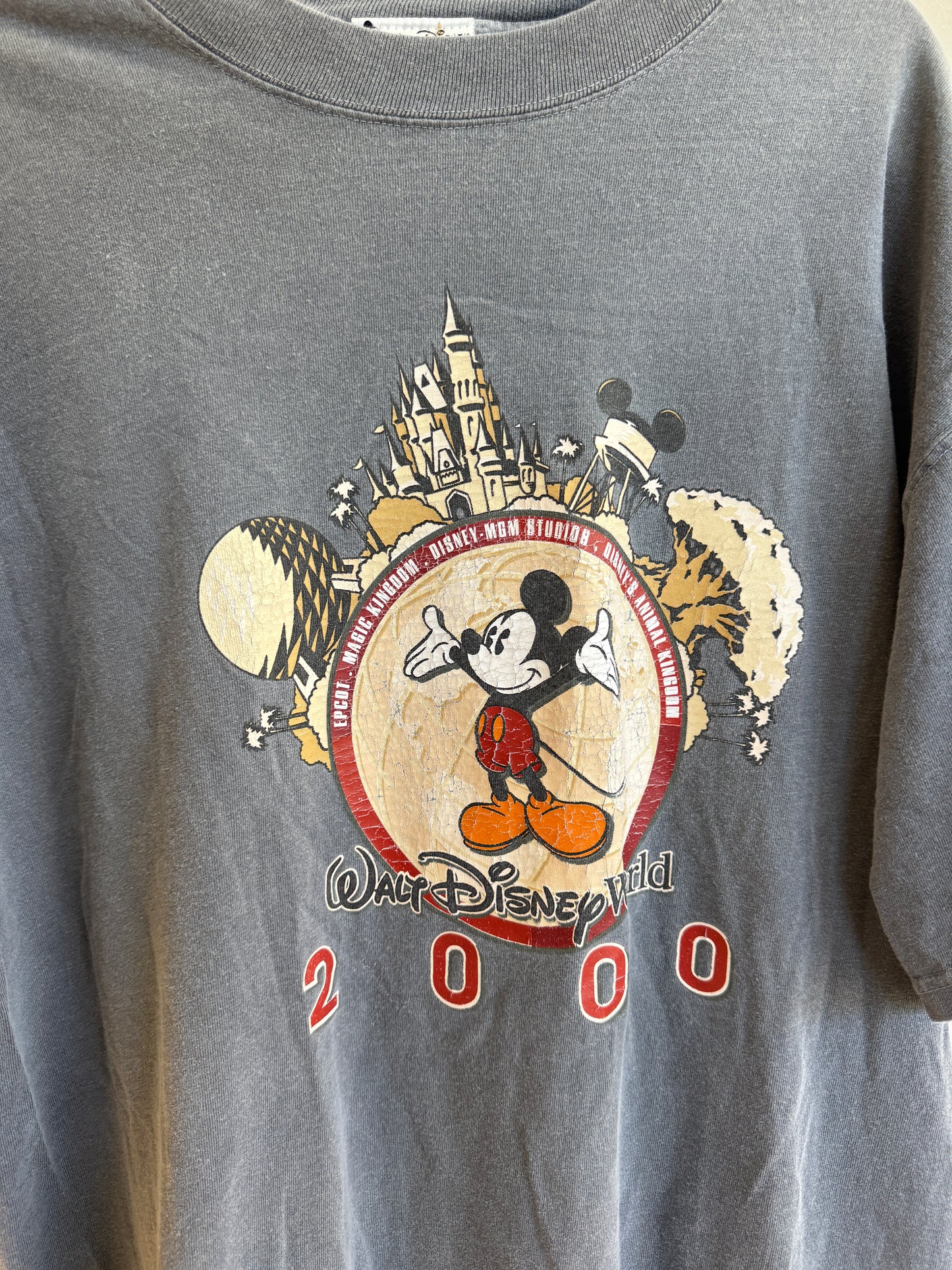 *Vintage* 2000 WDW Tee | L (fits like an XL)