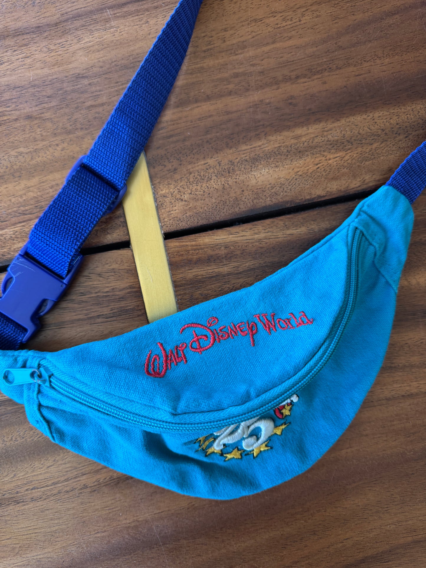 *Vintage* 25th Anniversary Belt Bag