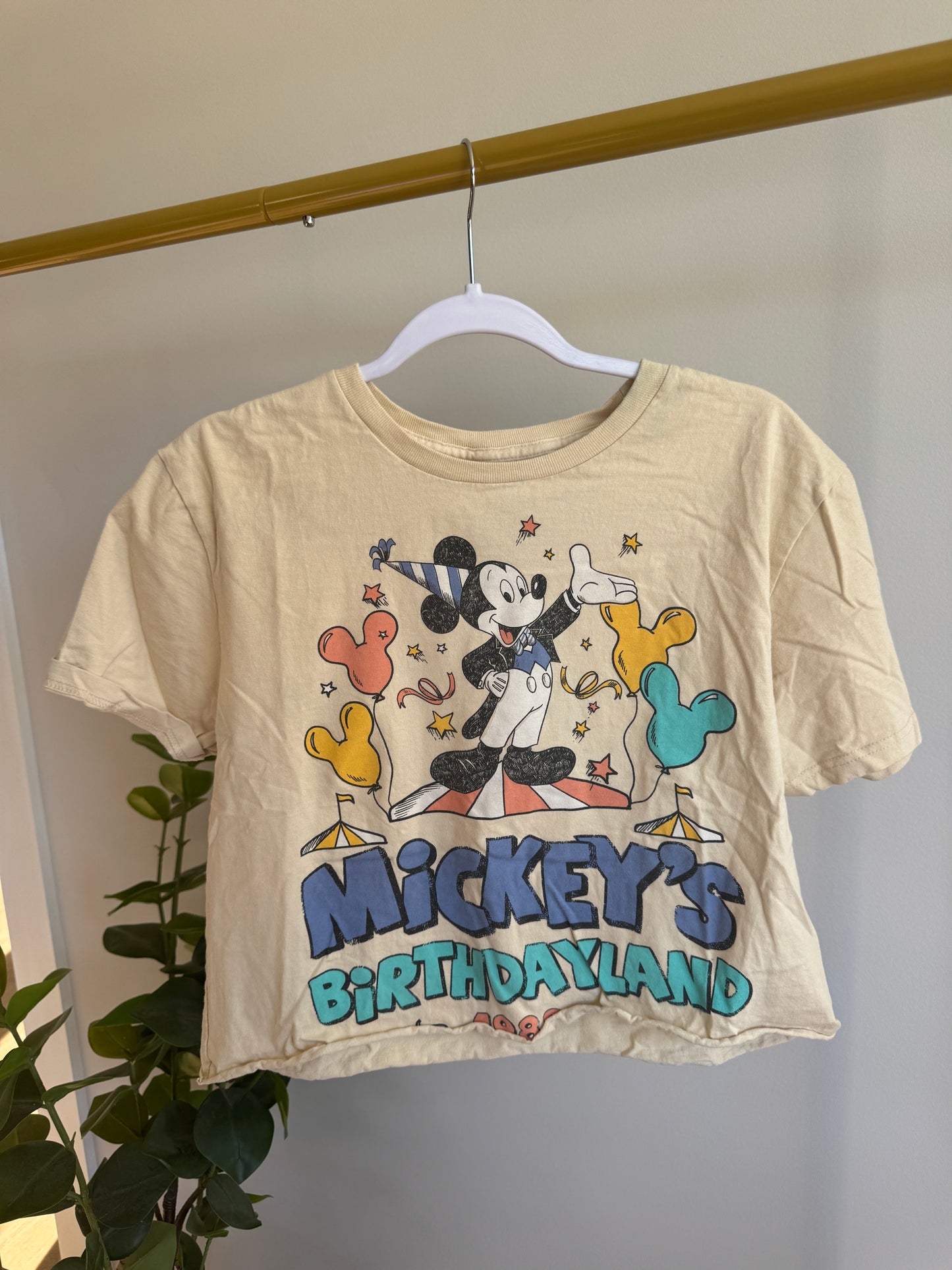 Birthday Crop Tee | M