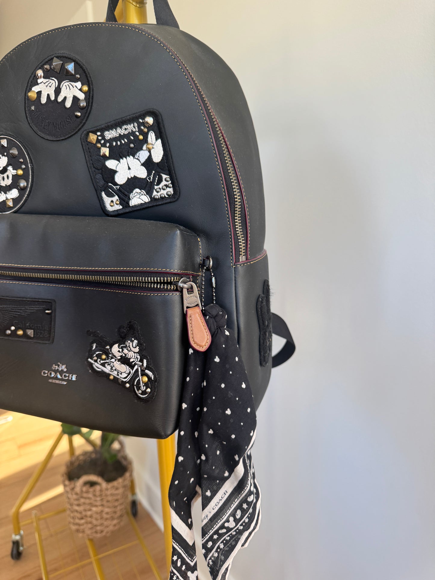 Coach Backpack